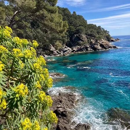 Apartamento 109 Grande Terrasse *