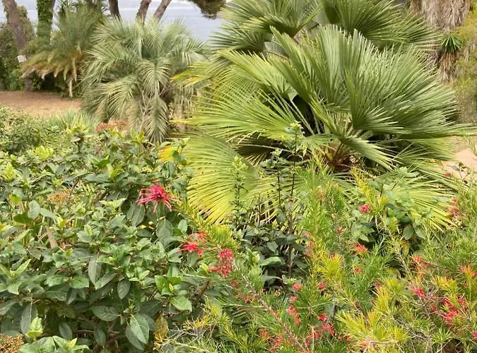 109 Grande Terrasse Διαμέρισμα Bandol