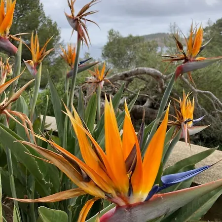 109 Grande Terrasse 公寓