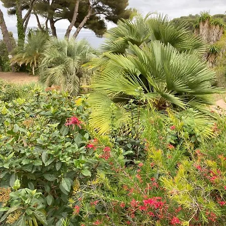 109 Grande Terrasse Appartement Bandol