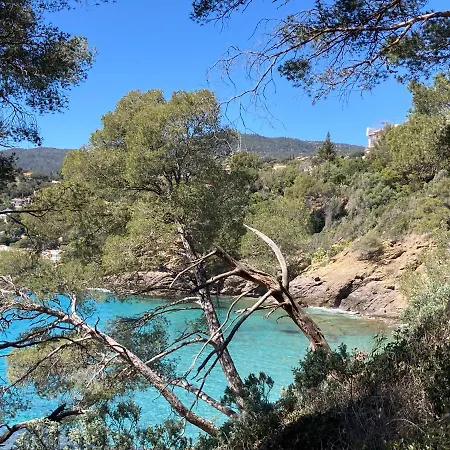 109 Grande Terrasse 公寓