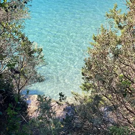 109 Grande Terrasse Bandol